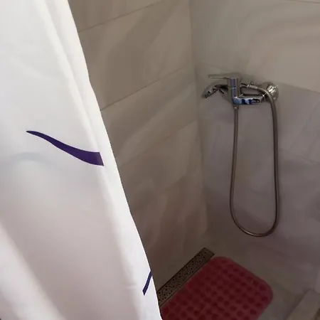 Maslina Paho Babino Polje