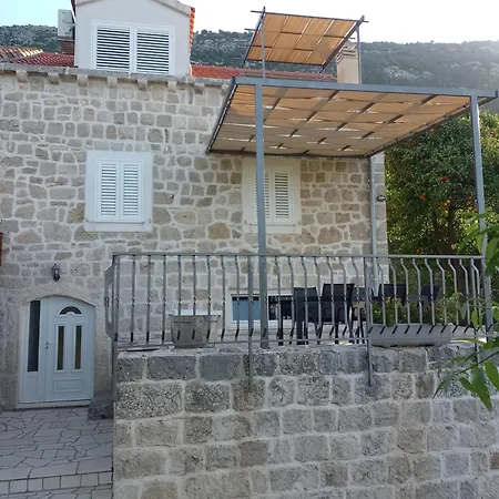 Maslina Paho Babino Polje