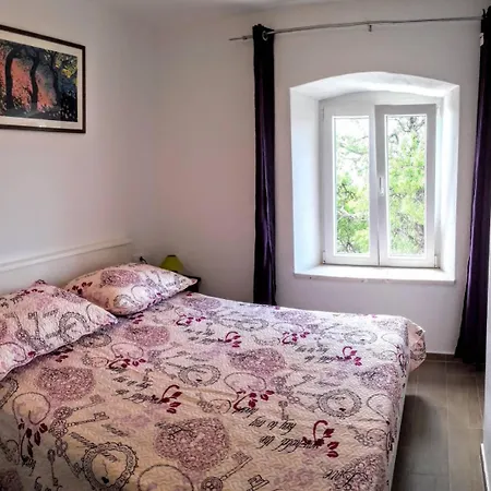 Maslina Paho Appartement Babino Polje