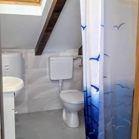 Maslina Paho Babino Polje