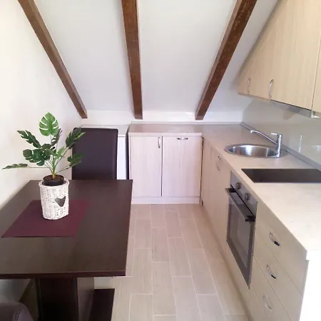 Maslina Paho Babino Polje