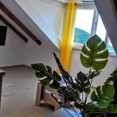 Maslina Paho Appartement *