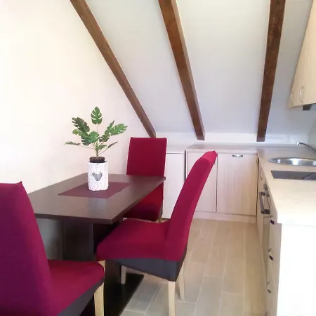 Maslina Paho Babino Polje