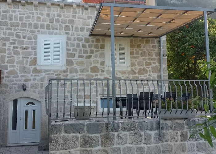 Maslina Paho Babino Polje