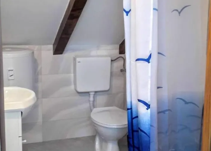 Maslina Paho Babino Polje