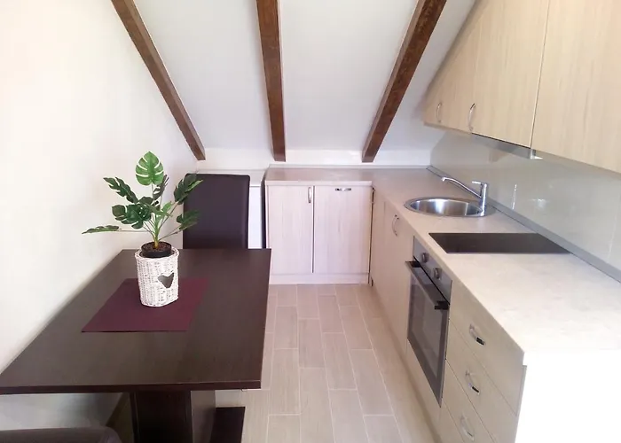 Maslina Paho Babino Polje