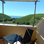 Apartment Maslina Paho *