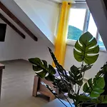 Maslina Paho Apartment *