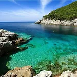 Maslina Paho * Babino Polje