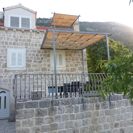 Maslina Paho * Babino Polje