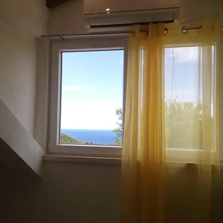 Maslina Paho * Babino Polje