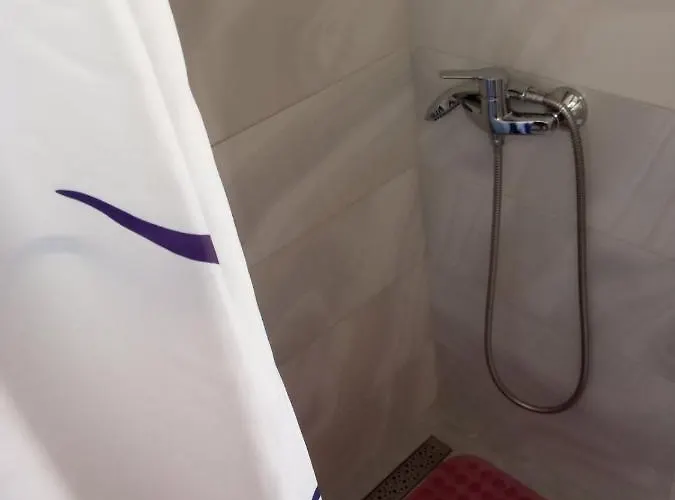 Maslina Paho Babino Polje