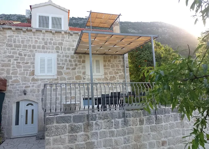 Maslina Paho * Babino Polje