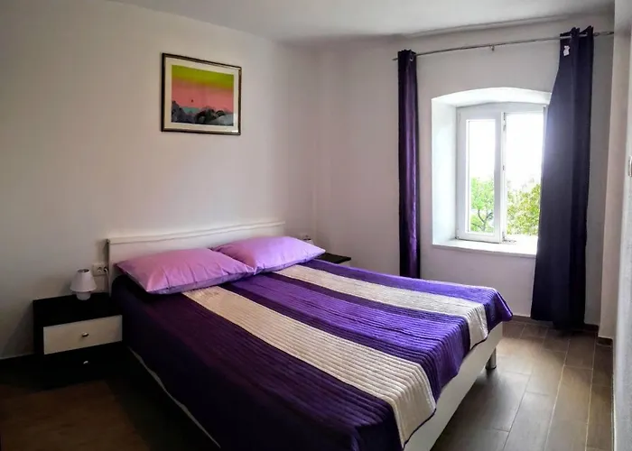 Maslina Paho Apartament