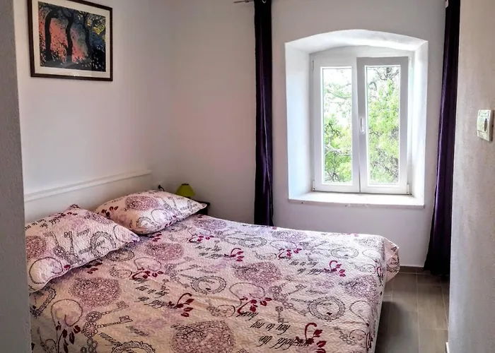 Maslina Paho Apartament Babino Polje