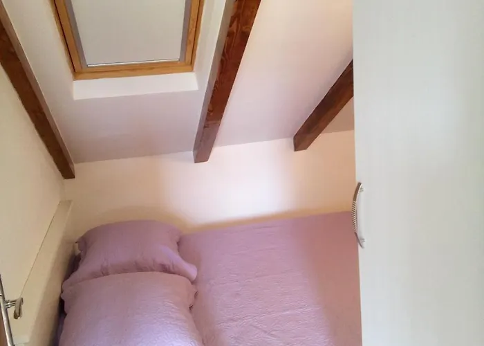 Maslina Paho Apartament