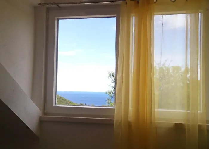 Maslina Paho * Babino Polje