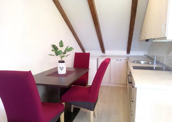 Maslina Paho Babino Polje