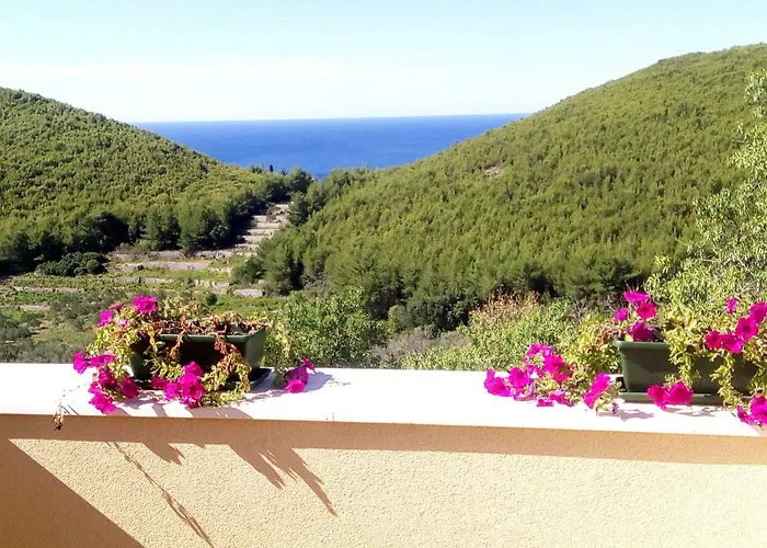 Maslina Paho Apartamento *